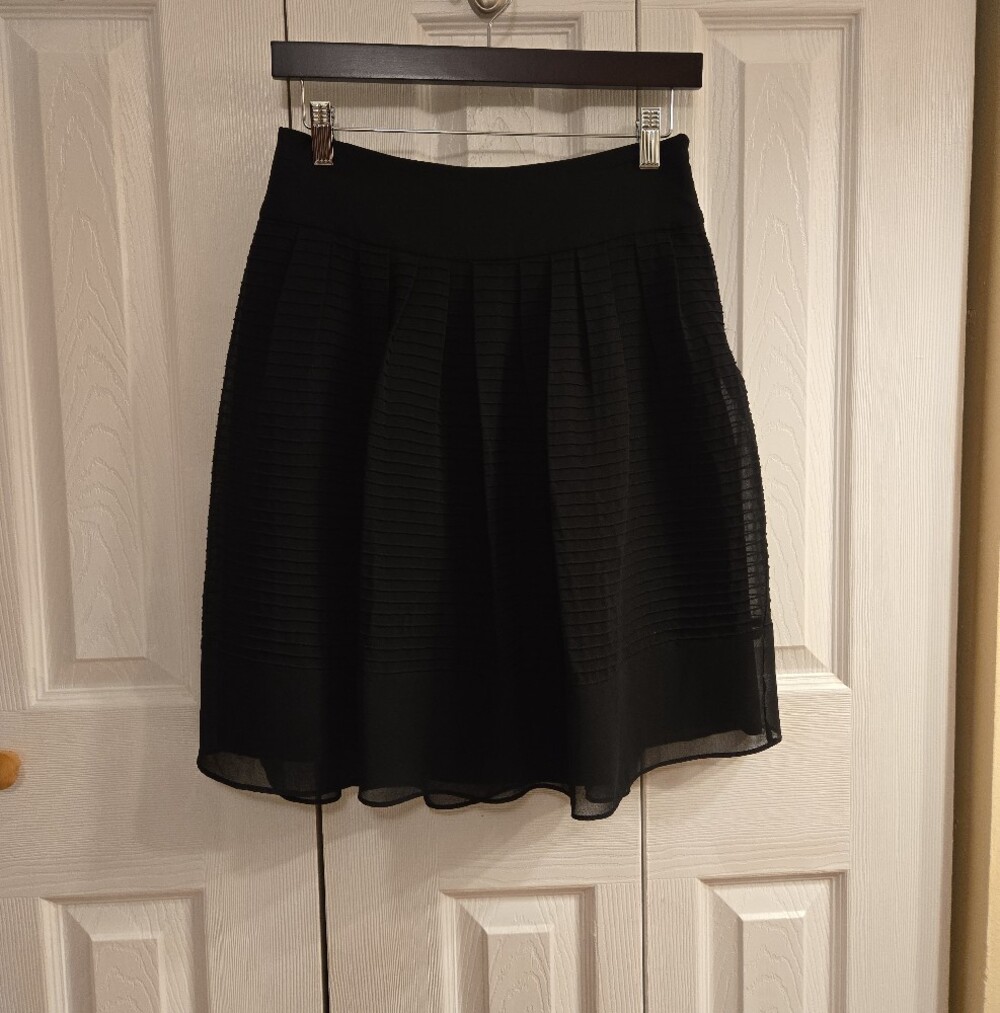 Ann Taylor Pleated Skirt